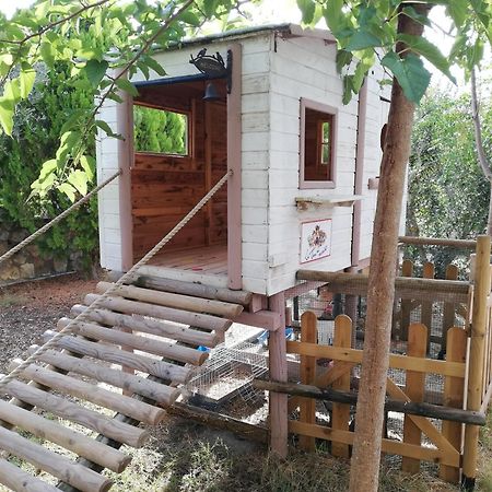 Azienda Agrituristica Le Betulle Riotorto Εξωτερικό φωτογραφία