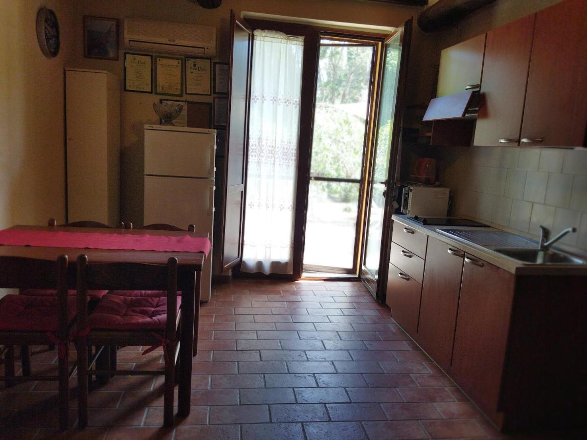 Azienda Agrituristica Le Betulle Riotorto Εξωτερικό φωτογραφία