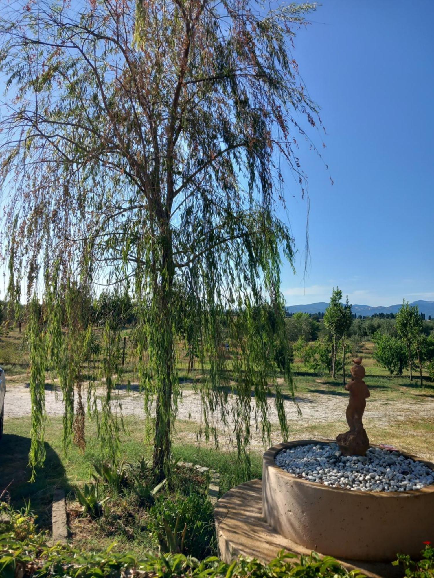 Azienda Agrituristica Le Betulle Riotorto Εξωτερικό φωτογραφία
