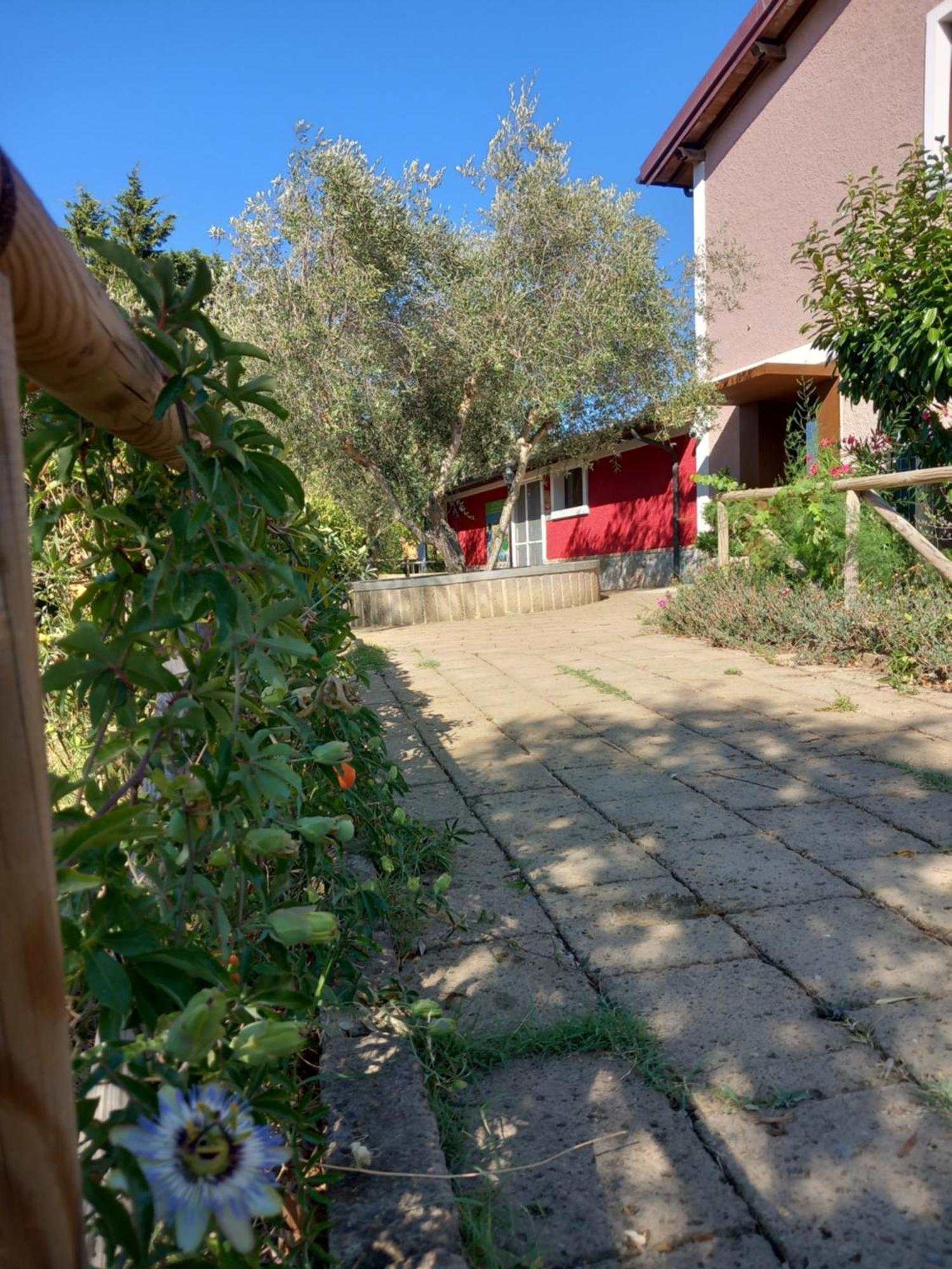 Azienda Agrituristica Le Betulle Riotorto Εξωτερικό φωτογραφία