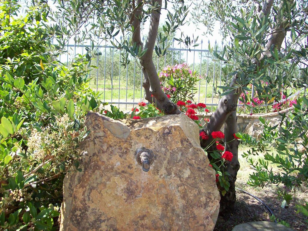 Azienda Agrituristica Le Betulle Riotorto Εξωτερικό φωτογραφία