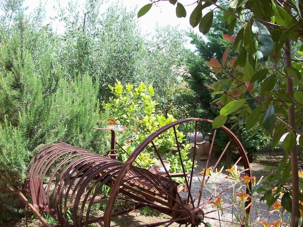 Azienda Agrituristica Le Betulle Riotorto Εξωτερικό φωτογραφία