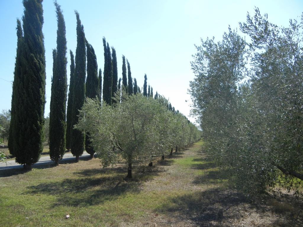 Azienda Agrituristica Le Betulle Riotorto Εξωτερικό φωτογραφία