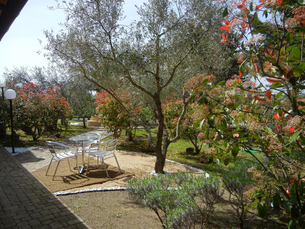 Azienda Agrituristica Le Betulle Riotorto Εξωτερικό φωτογραφία